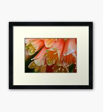 Macro Flowers Framed Print
