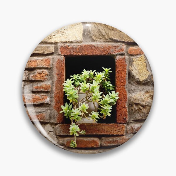 Item preview, Succulent Plant in a Brick Wall designed and sold by Rae Tucker Photography & Designs.