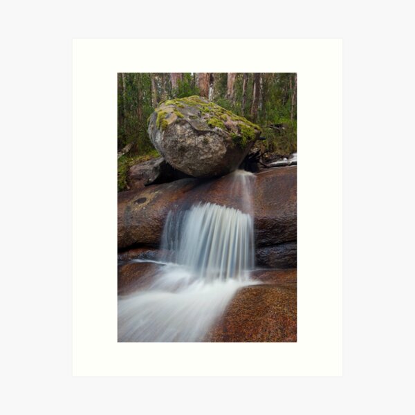 Item preview, Forgotten Cascades designed and sold by Travis Easton.