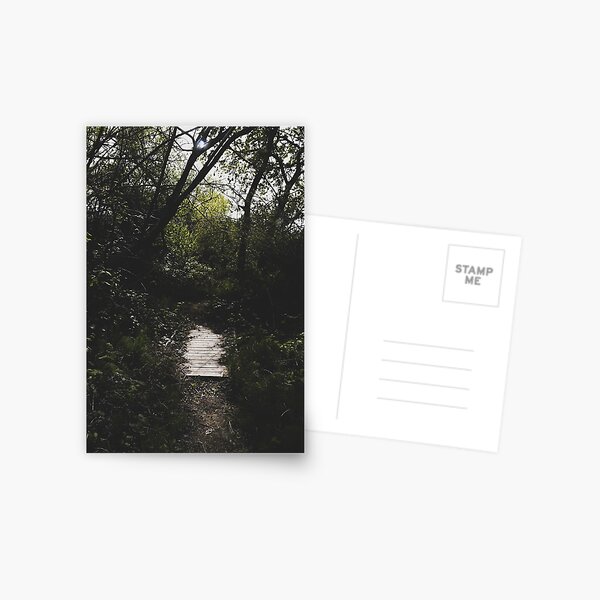 Hidden Path in the Woods Postcard