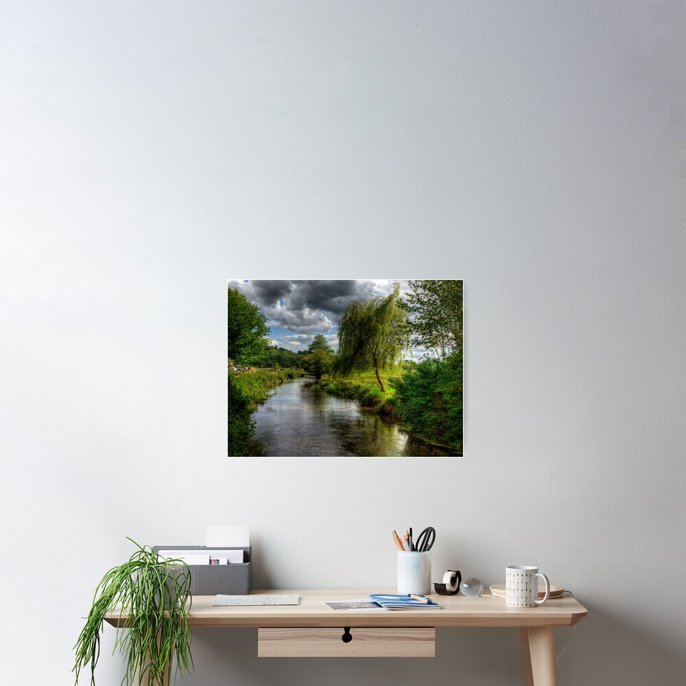 Willow & Water Poster