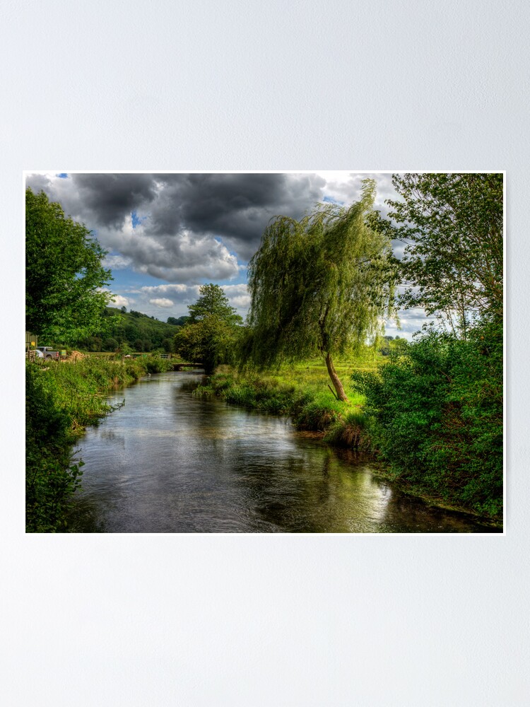 Alternate view of Willow & Water Poster