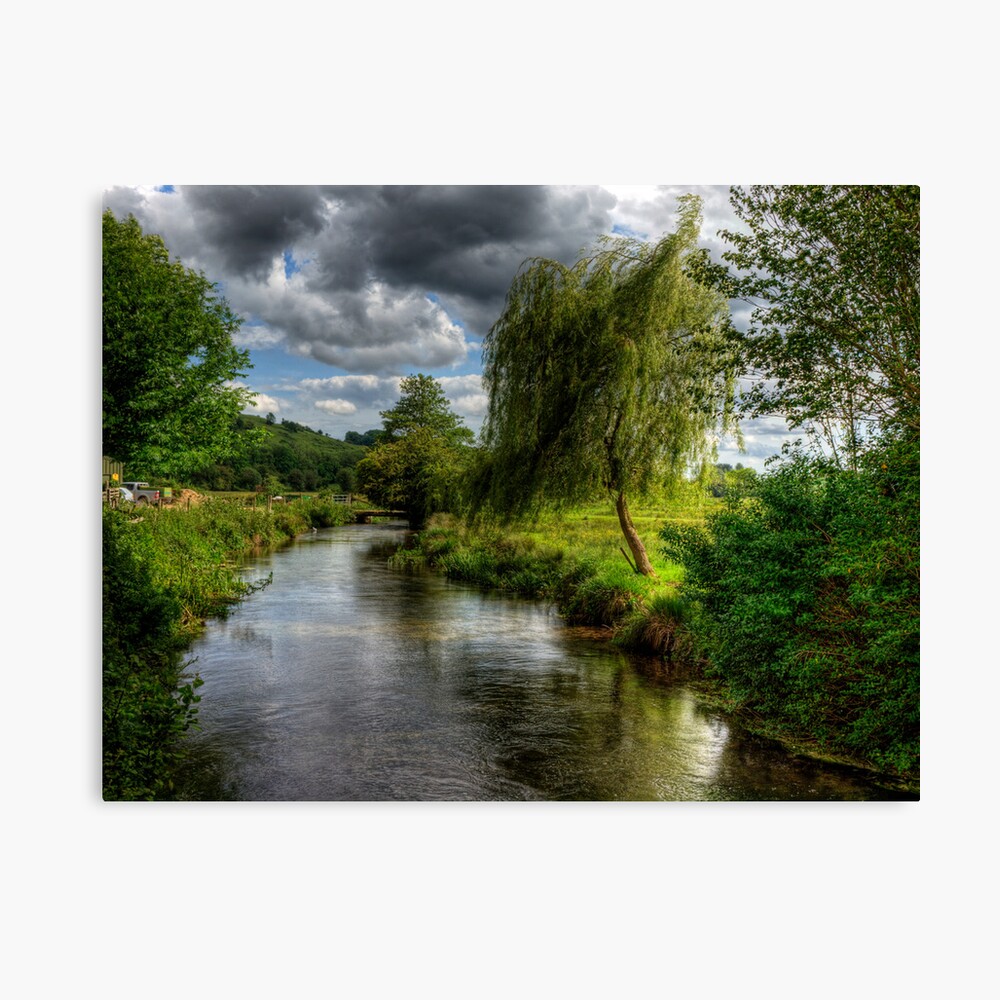 Willow & Water Canvas Print