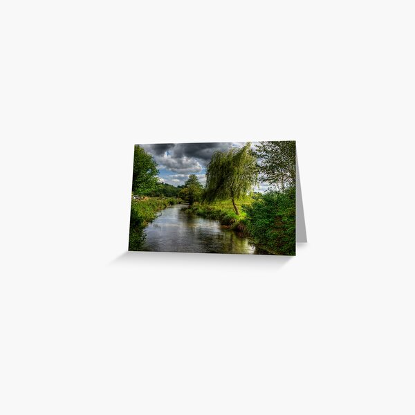 Willow & Water Greeting Card