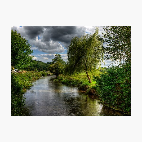 Willow & Water Photographic Print