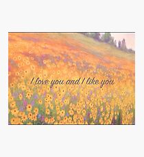 Wildflower Mural Photographic Print