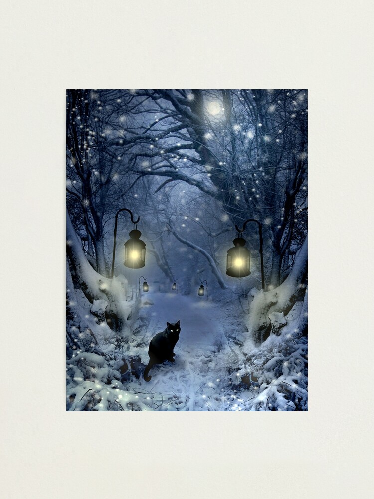Alternate view of Winter Twilight Photographic Print