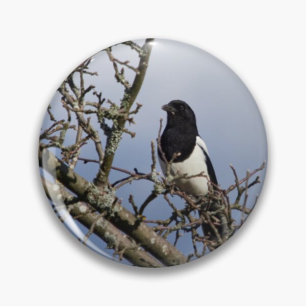Item preview, The Guardian in the watchtower. Eurasian magpie designed and sold by Jouko Lehto Photography.