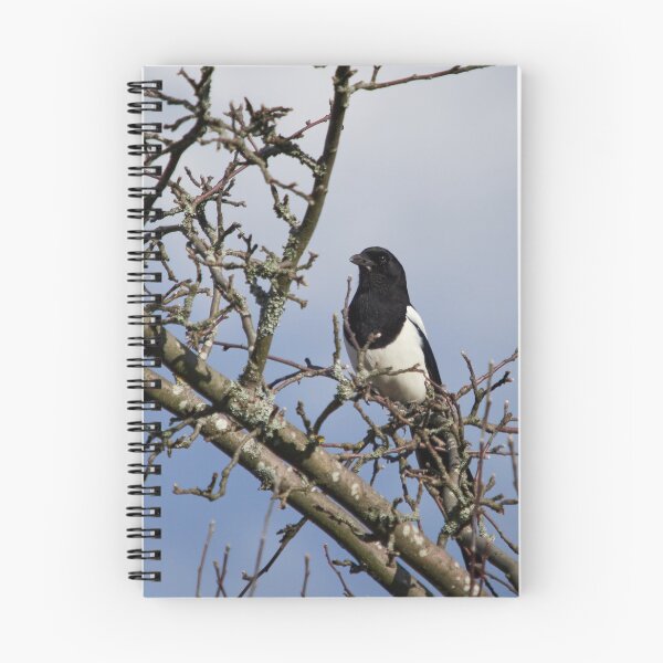 Item preview, The Guardian in the watchtower. Eurasian magpie designed and sold by Jouko Lehto Photography.
