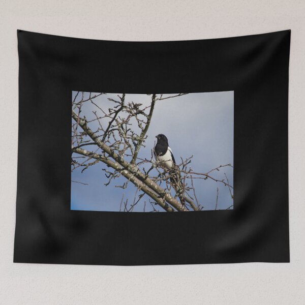Item preview, The Guardian in the watchtower. Eurasian magpie designed and sold by Jouko Lehto Photography.