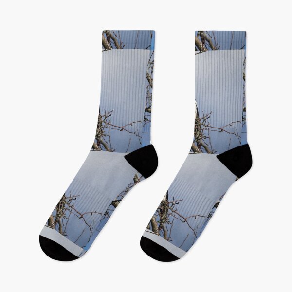 Item preview, The Guardian in the watchtower. Eurasian magpie designed and sold by Jouko Lehto Photography.