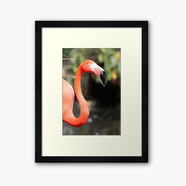 Flamingo Droplet Framed Art Print