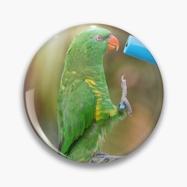 Item preview, Scaly breasted lorikeet 56 designed and sold by kevin Chippindall.
