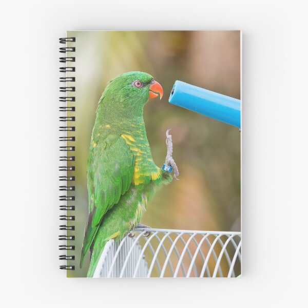 Item preview, Scaly breasted lorikeet 56 designed and sold by kevin Chippindall.