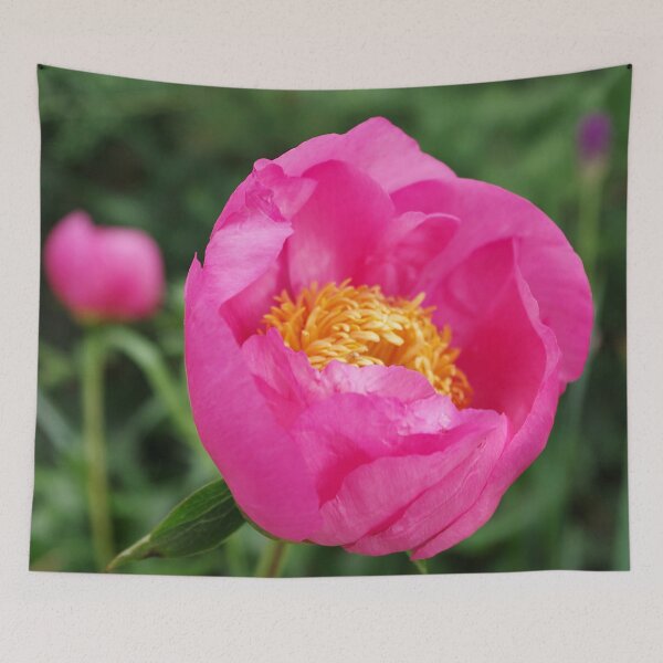 Item preview, Peony Firelight - glowing pink petals designed and sold by rvjames.