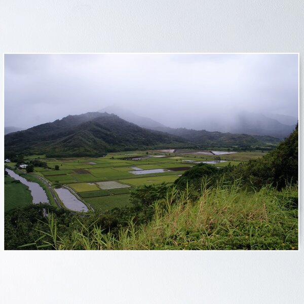 Artikelvorschau, Hanalei Valley entworfen und verkauft von ZWC Photography.