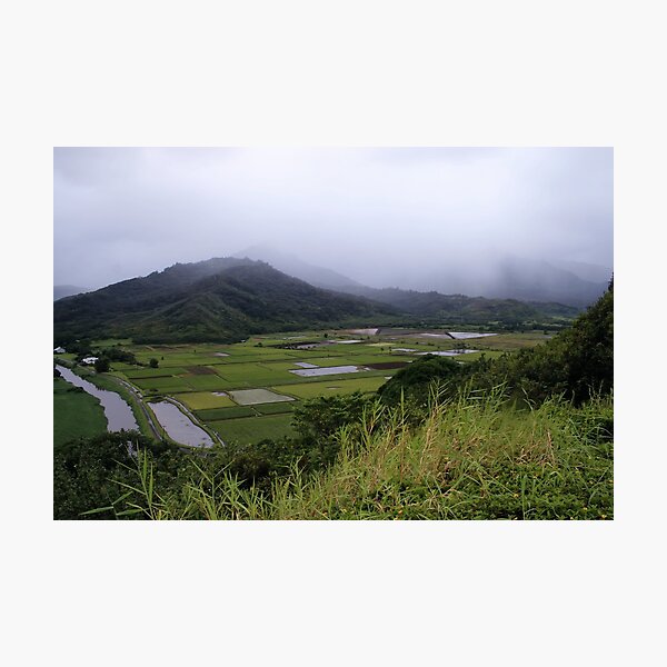 Item preview, Hanalei Valley designed and sold by ZWC Photography.