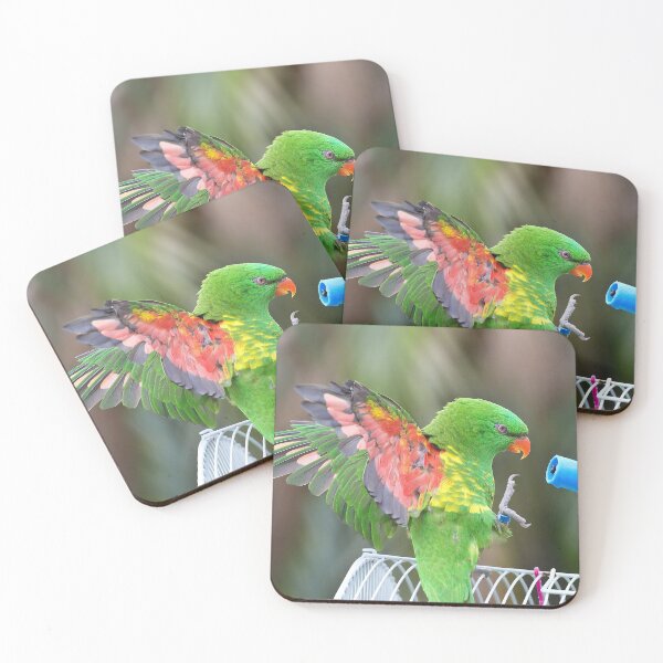 Item preview, Scaly breasted lorikeet 57 designed and sold by kevin Chippindall.