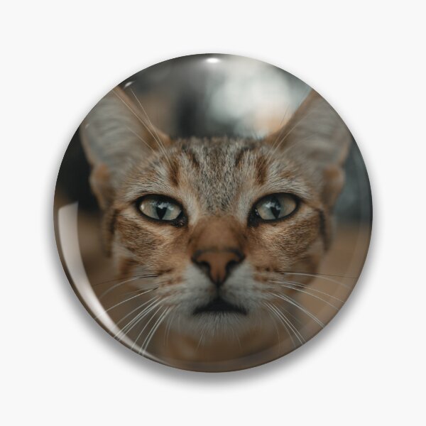 Item preview, Lindo gato atigrado naranja designed and sold by TeamManja.