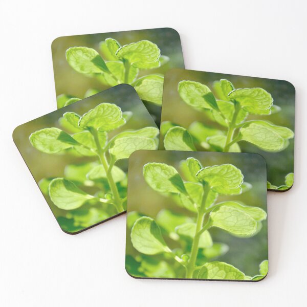 Item preview, Translucent Succulent Leaves - Nature designed and sold by joejiing.