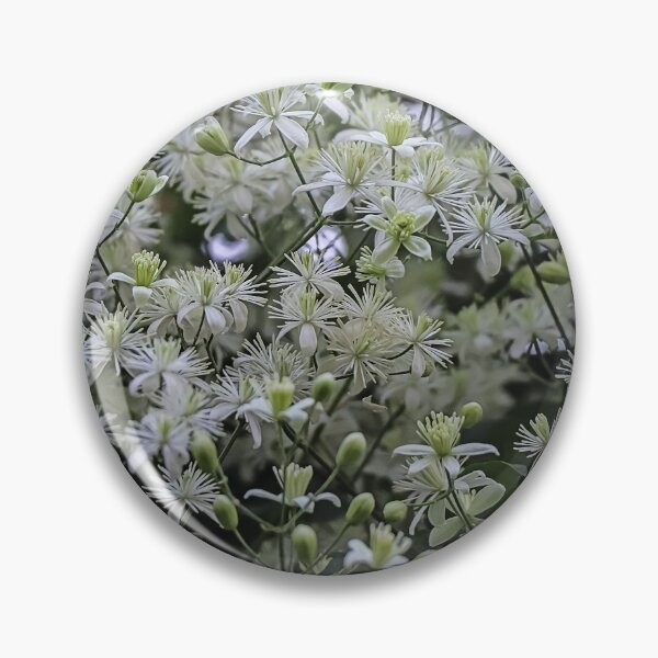 Item preview, Small White Flowers Clematis vitalba - Cool Floral Gift designed and sold by r-silver.
