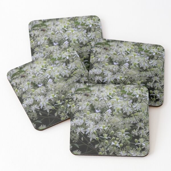 Item preview, Small White Flowers Clematis vitalba - Cool Floral Gift designed and sold by r-silver.