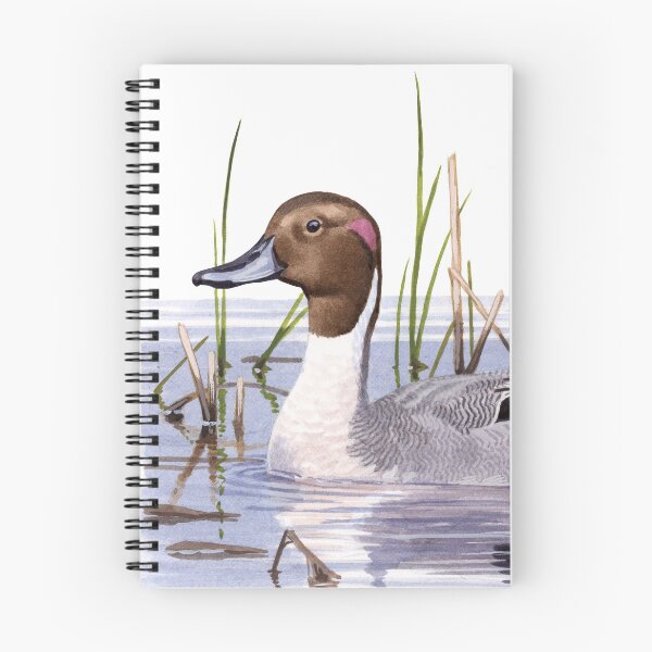 Item preview, Northern Pintail designed and sold by kokayart.