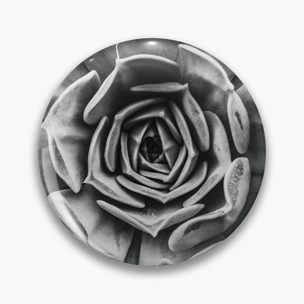 Item preview, Cactus designed and sold by Paul Finnegan.
