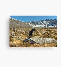 Tarn in Coire an t-Sneachda Canvas Print