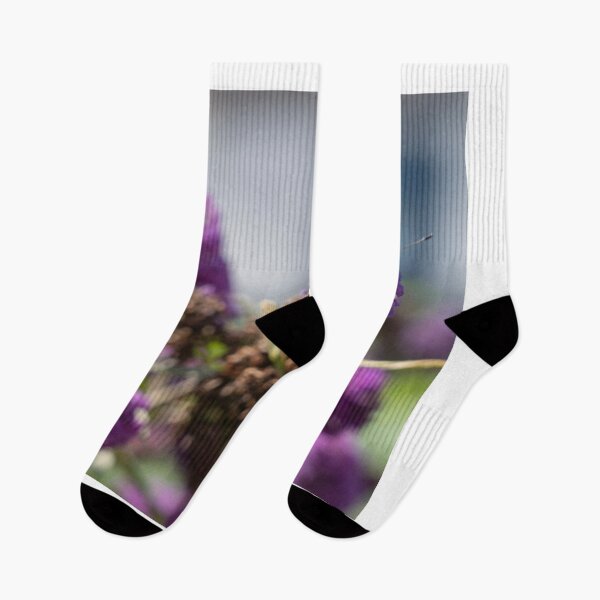 Item preview, Small Tortoiseshell on Buddlia designed and sold by hawkie.