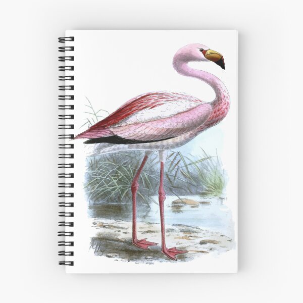 Item preview, Puna Flamingo designed and sold by taiche.