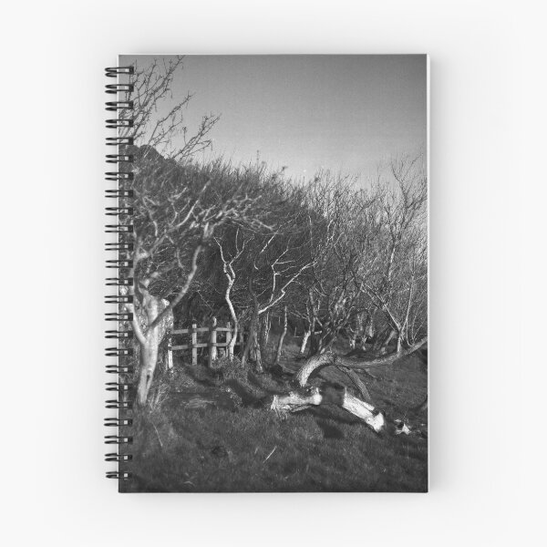 Item preview, chapter II designed and sold by 5letters.