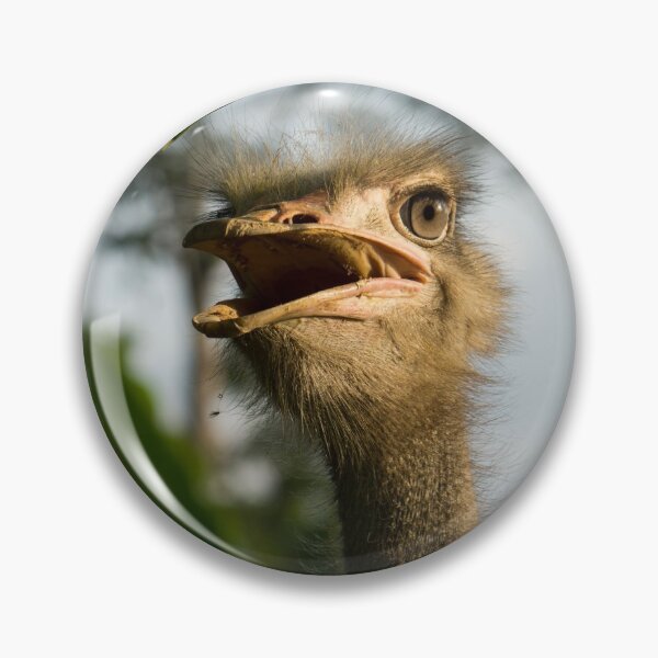 Item preview, A Portrait of an Opinionated Ostrich  designed and sold by Georgia Mizuleva.