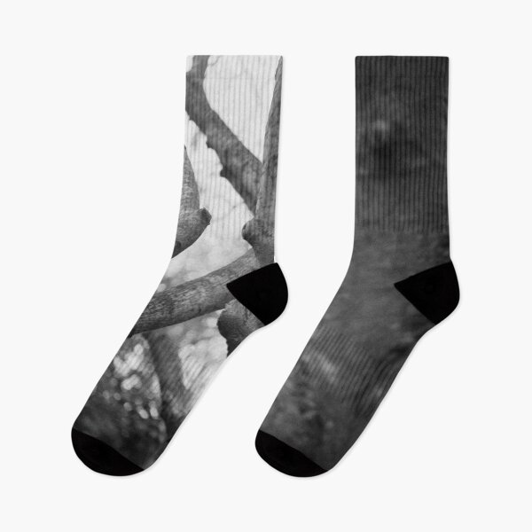 Item preview, impression of a tree in black and white designed and sold by 5letters.