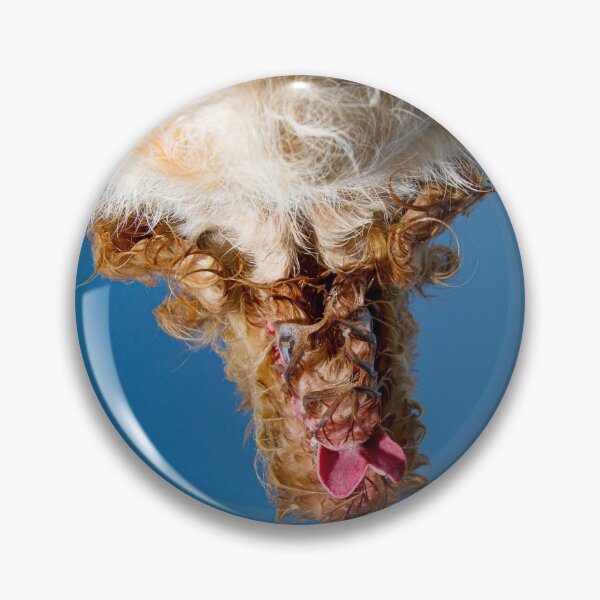 Item preview, Orange and White Italian Spinone Dog Head Shot designed and sold by FOLK ART FUSION by heidiannemorris.