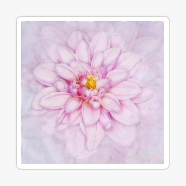 Item preview, Floral Layers designed and sold by Creative by Design.
