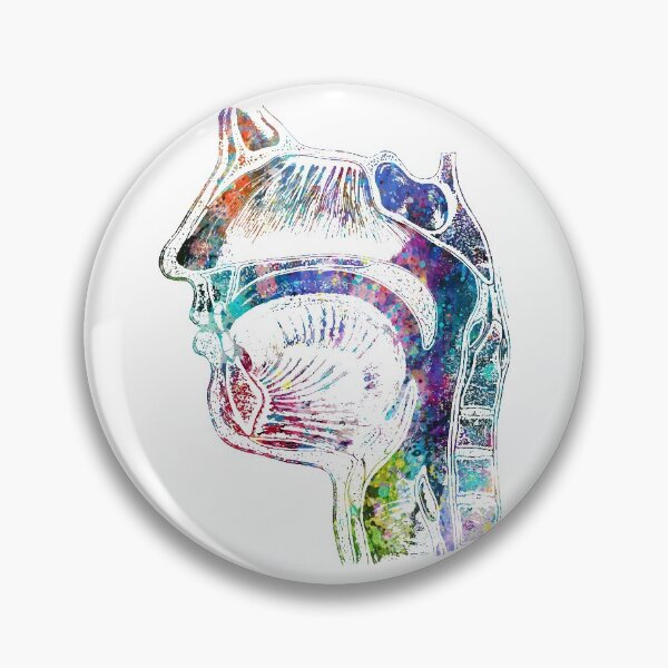 Item preview, Face Section of upper respiratory system designed and sold by EvasDreams.
