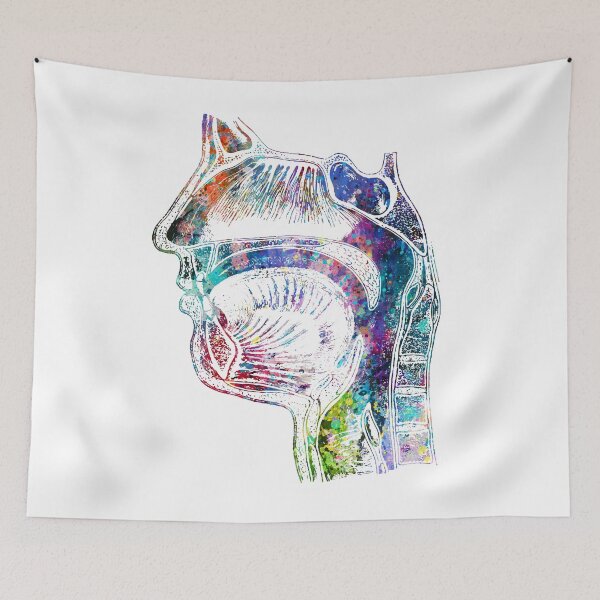 Item preview, Face Section of upper respiratory system designed and sold by EvasDreams.