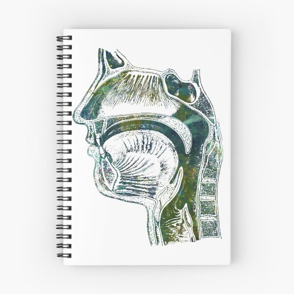 Item preview, Face Section of upper respiratory system designed and sold by EvasDreams.
