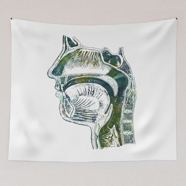 Item preview, Face Section of upper respiratory system designed and sold by EvasDreams.