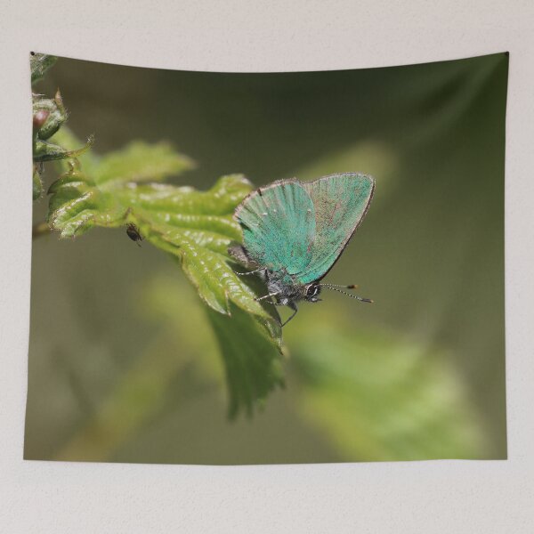 Item preview, Green hairstreak designed and sold by cuprum.