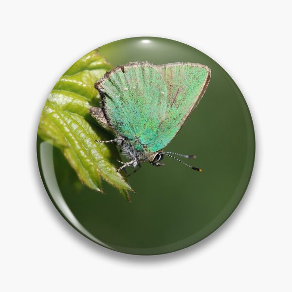 Item preview, Green hairstreak designed and sold by cuprum.