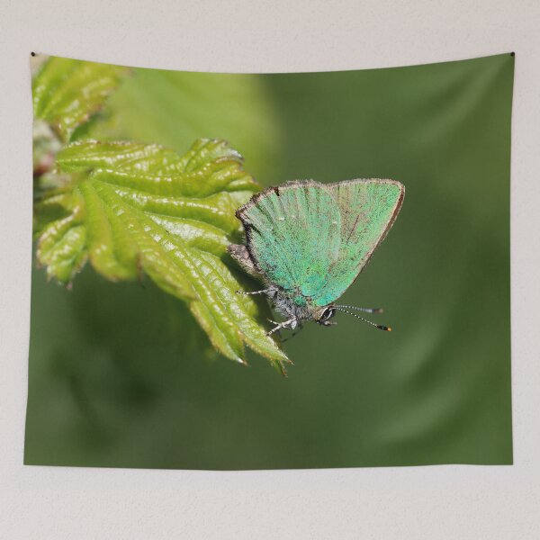 Item preview, Green hairstreak designed and sold by cuprum.
