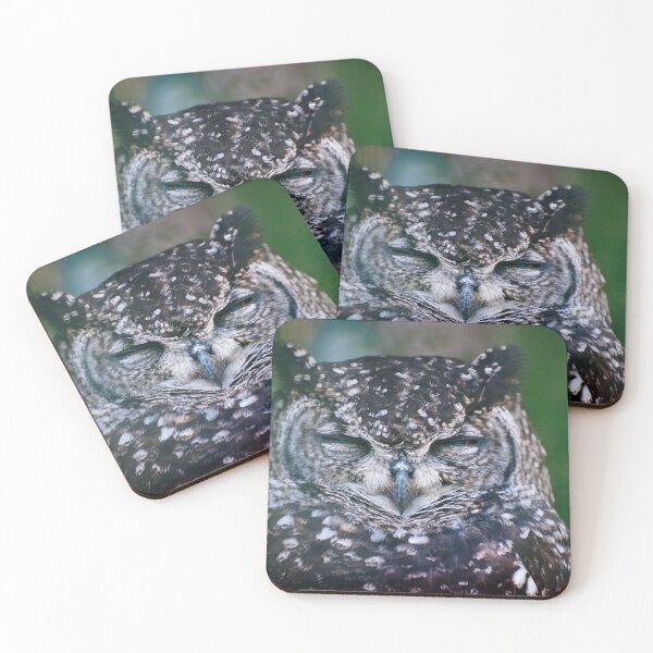 Item preview, Owl close up looking straight designed and sold by Vassia Sarri.