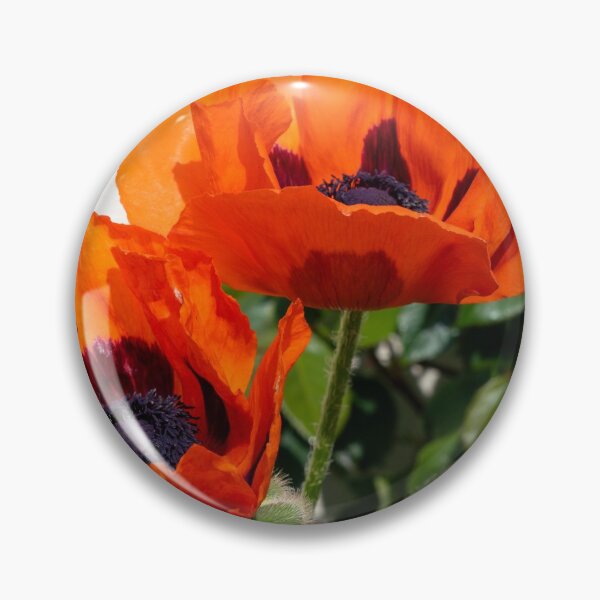 Item preview, Red Poppies with a twist designed and sold by hawkie.