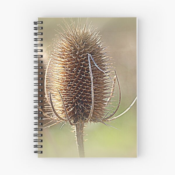 Item preview, Sharp and To The Point designed and sold by naturelover.