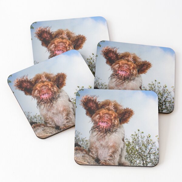 Item preview, Hello down there! Spinone by heidiannemorris designed and sold by FOLK ART FUSION by heidiannemorris.