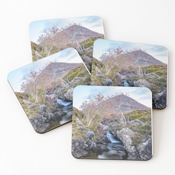 Item preview, Last of the Rowan Berries designed and sold by ScotLandscapes.