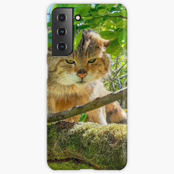 Waldemar Grumpy Wildcat Samsung Galaxy Phone Case For Sale By Noramcjazzman Redbubble 8867