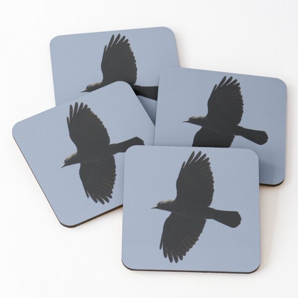 Item preview, Jackdaw In Flight Photograph designed and sold by taiche.